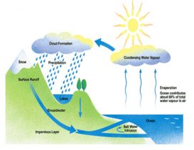 natural process Chart