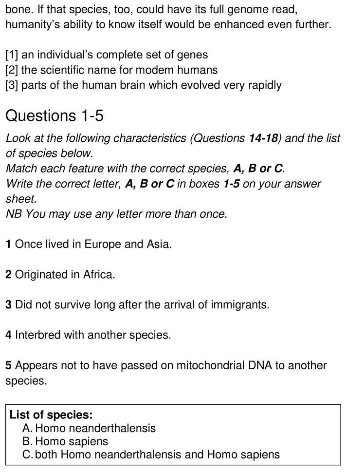 modern humans 4