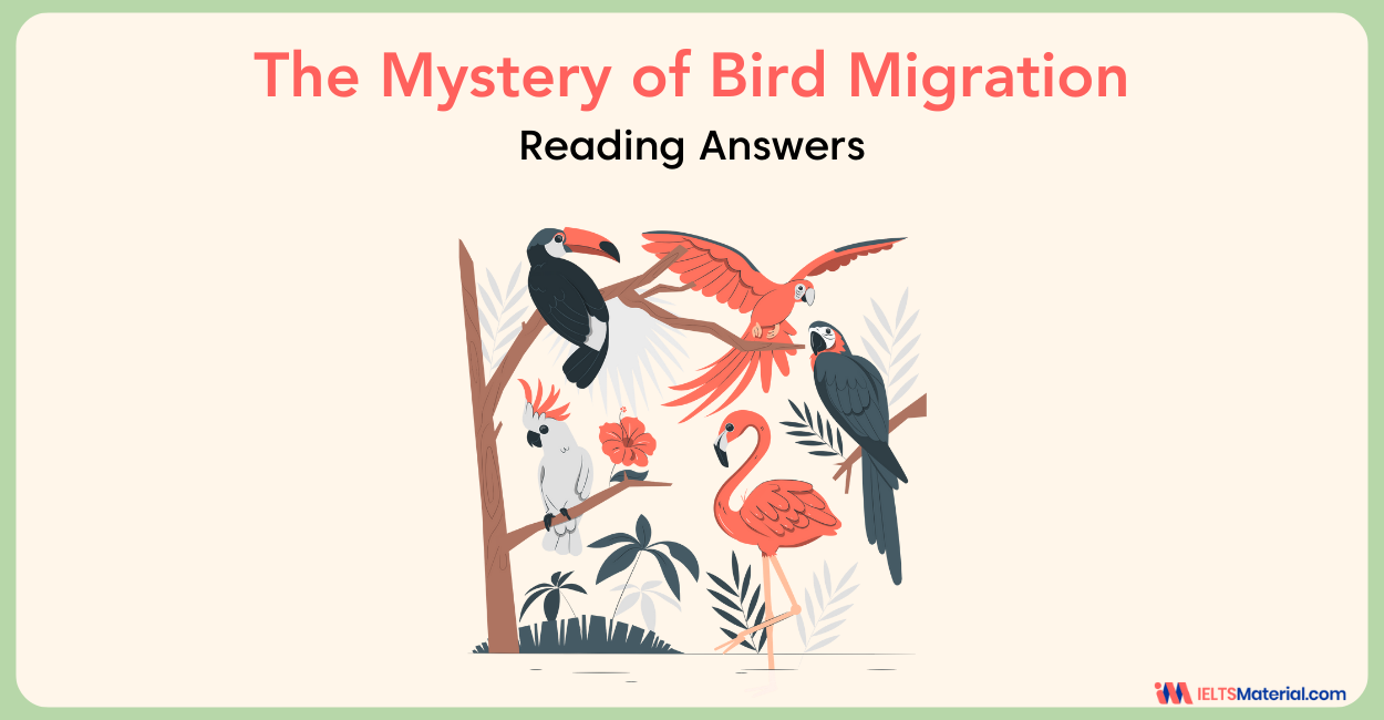 The Mystery of Bird Migration IELTS Reading Answers