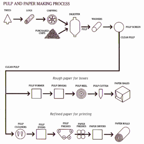 Paper Making Process Diagram