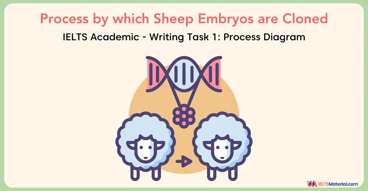 Process by which Sheep Embryos are Cloned – IELTS Writing Task 1